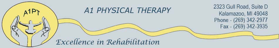 a1 physical therapy excellence in rehabilitation